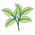 Leaf Embroidery