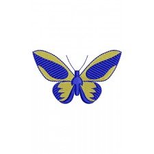 Blue Morpho Butterfly Wall Art Design