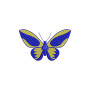 Blue Morpho Butterfly Wall Art Design