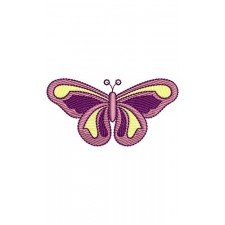 Vector Colorful Butterfly Scarf Embroidery Design