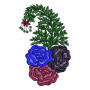 New Punjabi Patch Design 13401