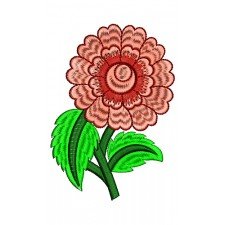 Women T-Shirt Aplique Embroidery Design