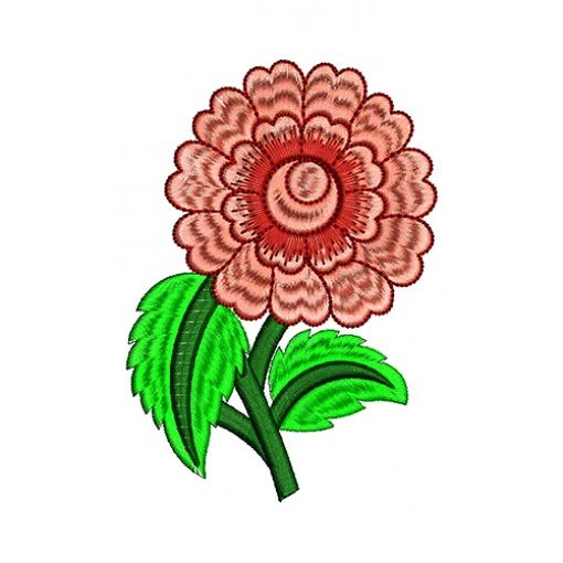 Women T-Shirt Aplique Embroidery Design