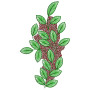 Shirts Back Side Embroidery Patch Design
