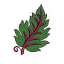 Autumn Leave Embroidery Design