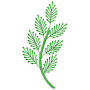 Applique Embroidery Design 18742