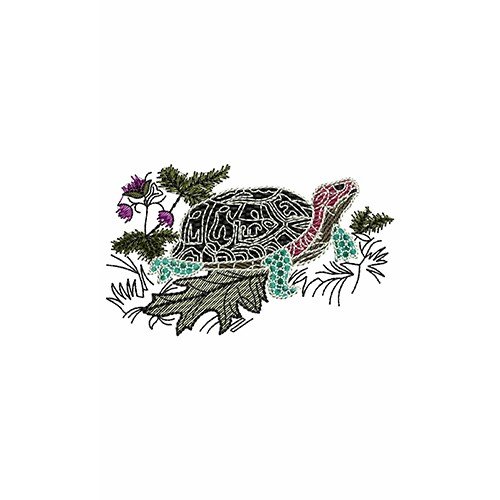 Tortoise Embroidery Design 21236