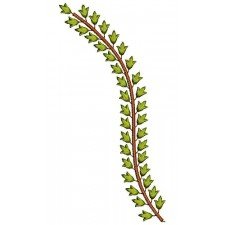 New Arrival Embroidery Flowers 21775