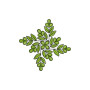Leaf Church Cross Embroidery Design 22029
