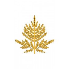 Mimosa Plant Applique Embroidery Design 23900