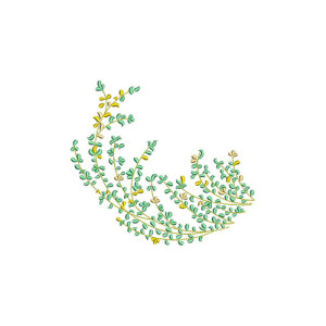 Vines Applique Design In Embroidery 24150