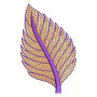 All over Pearl Garment Kaftan Embroidery Design