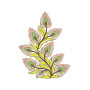 6726 Applique