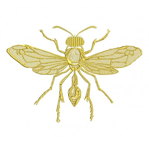 Back Patch For Jacket - Embroidery Design