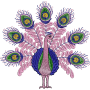 Elegant Pink Peacock Embroidery Design