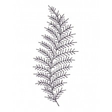 Fern Leaf Embroidery Applique