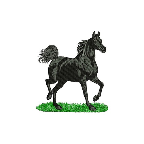 Mustang Horse Embroidery Design