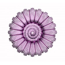 Small Round Embroidery