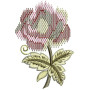 Beautiful Colour Shades Rose Embroidery 25002