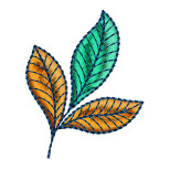 Blomme Flower Corner Embroidery