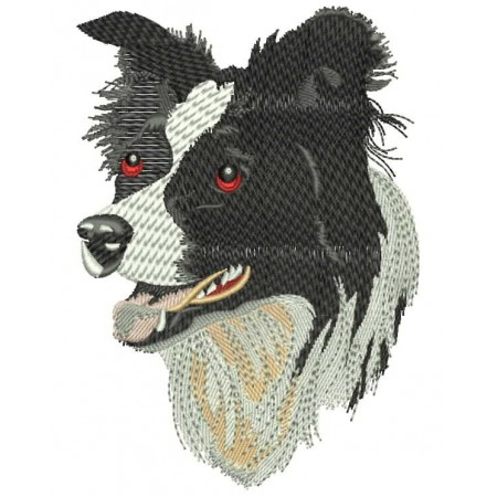 Border Collie Embroidery Designs 26423