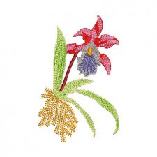  Color Cattleya Orchid Embroidery