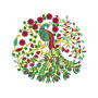 Chinese Embroidery Peacock
