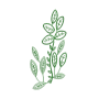 Delicate Botanical Leaf Embroidery Design