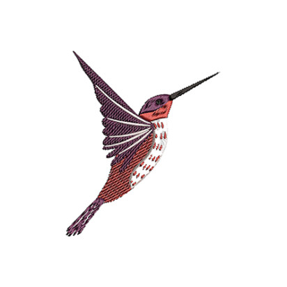 Hummingbird Embroidery Design