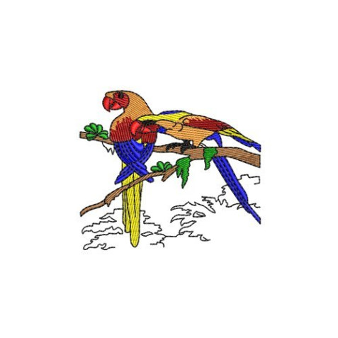 Multicolor Exotic Macaw Parrot Embroidery Design
