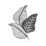 Petite Nature's Touch - Leaf Cluster Embroidery Design