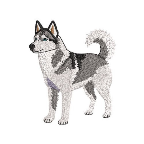 Siberian Husky Dog Portrait Embroidery Design