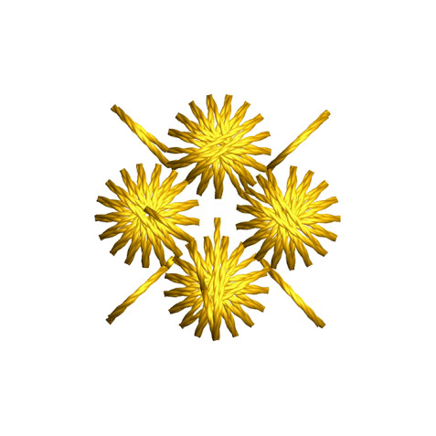 Small Embroidery Motif Design