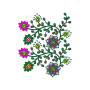 Rajasthan Bed Covers Embroidery Design 17063