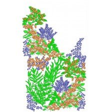 New Border Embroidery Design 18302