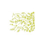 Border Embroidery Design 18946