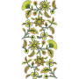 Shawl Border Embroidery Design 21133