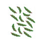 Autumn Tree Falling leaves Border Embroidery Design 21648