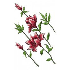 Big Border Embroidery Design 22377