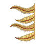 Latest Border Design 26420