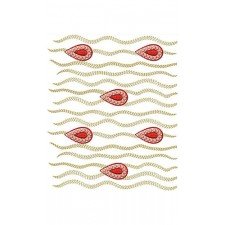 Crinkly Big Border Design In Embroidery 24091