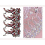 Distinct Flowers Big Border Design In Embroidery 24290