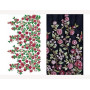 Climber Flower Plant Big Border Design 24277
