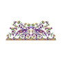 Beautiful Peacock Big Border Embroidery Design 25890