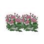 Lush Pink Lotus Flower Embroidery Design