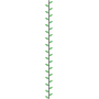 Minimal Leaf Vine Vertical Border Embroidery Design