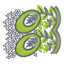 Peacock Feather Style Bigborder Embroidery Design 25356