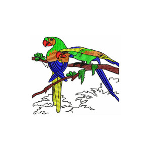 Good Parrot Pair Embroidery Design 21188