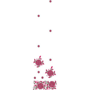 10065 Daman Embroidery Design