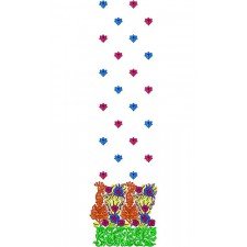 Embroidery Design | Border